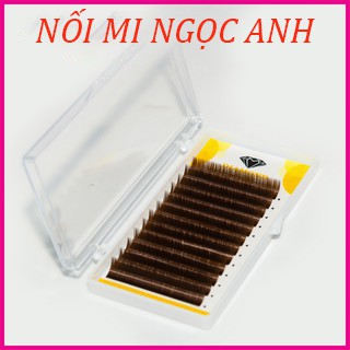 Mi khay nâu tây nhiều size