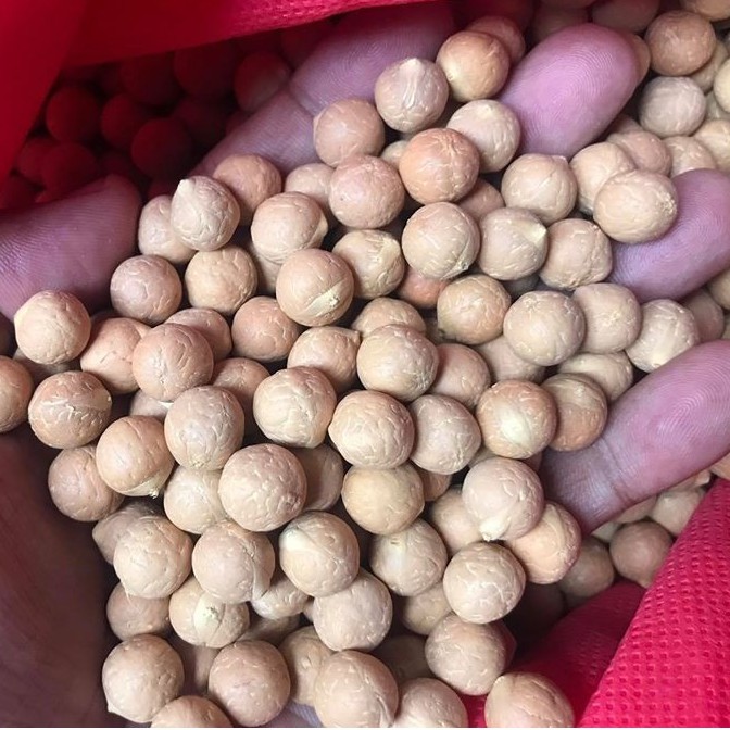 Vòng đeo tay Hạt Bồ Đề Phật Nhãn tự nhiên  - Nepal - 15mm