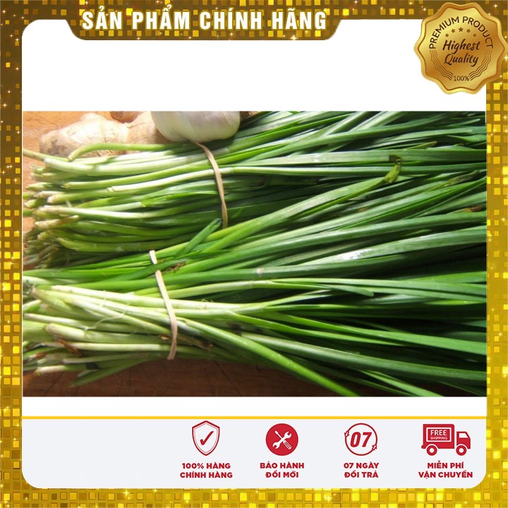 Hạt giống hẹ ta rau gia vị - 10gr