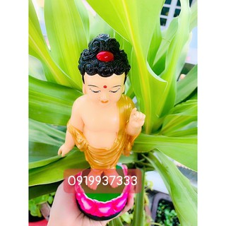 Tượng phật đản sanh ( 3 mẫu )