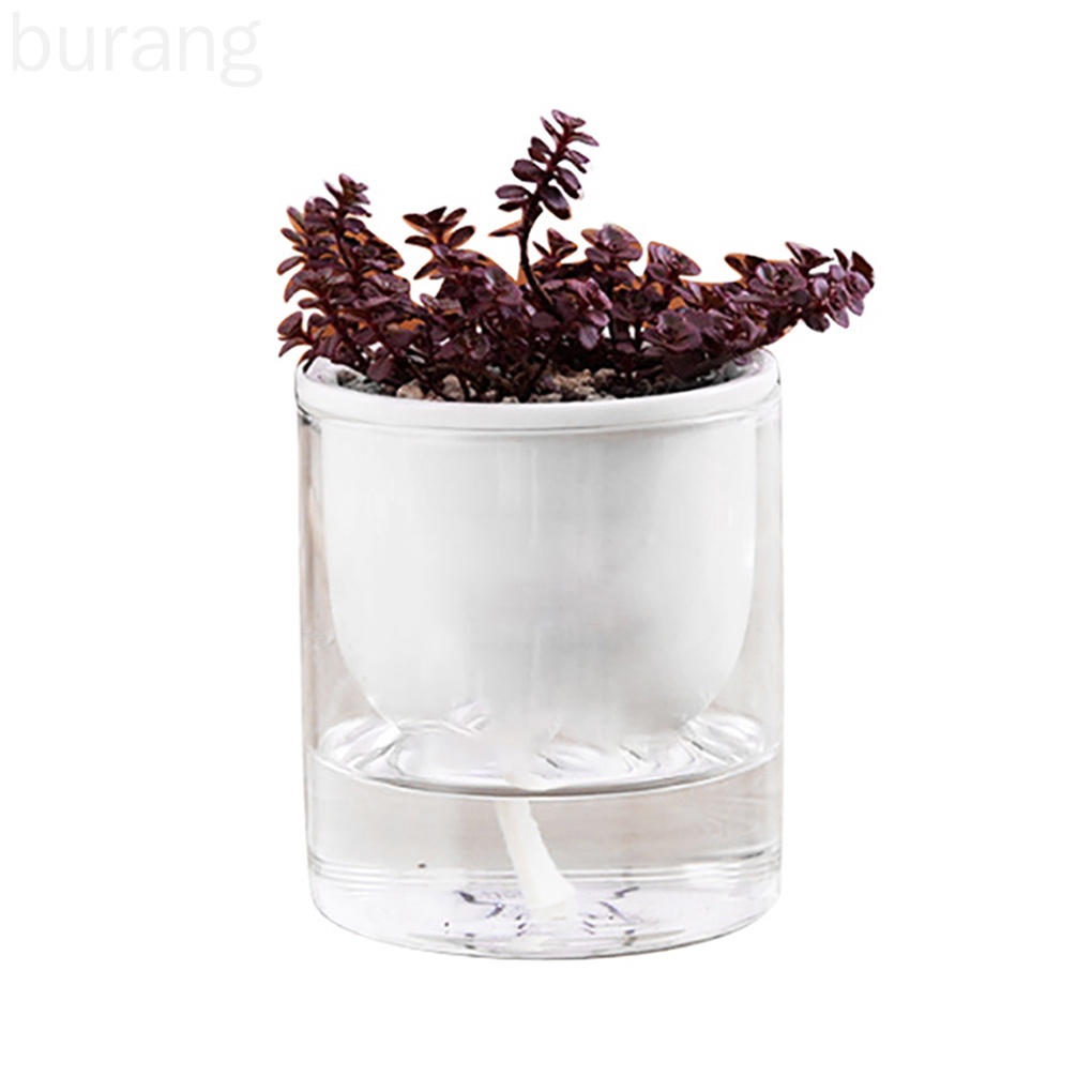 Chậu Hoa Tự Tưới Nước Cho Thú Cưng Trong Nhà / Ngoài Trời