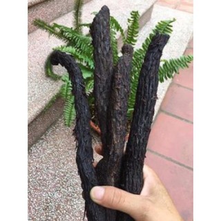500g Nhục Thung Dung Đen