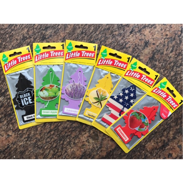 Cây thông thơm Mỹ MadeinUS