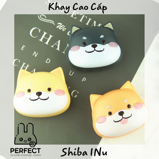 Khay Cao Cấp Shiba INu - Khay đựng kính Áp Tròng