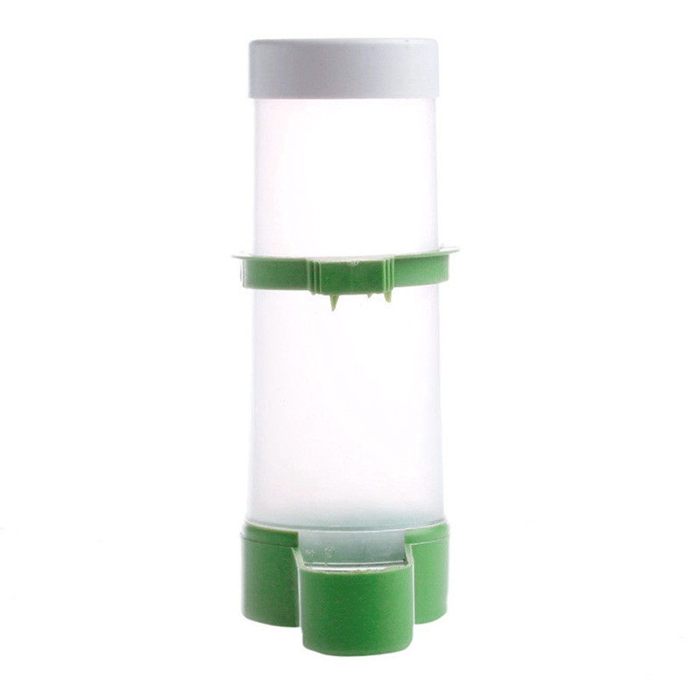 Dụng Cụ Cho Chim Ăn Tự Động