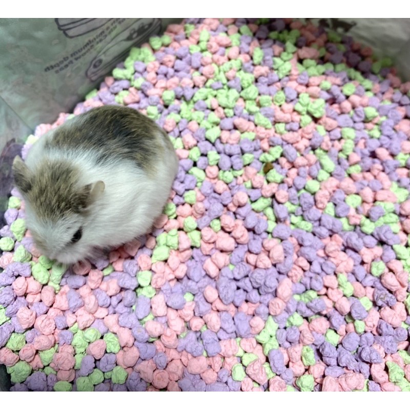 CÁT ĐẬU TUYẾT LÓT CHUỒNG CHO HAMSTER