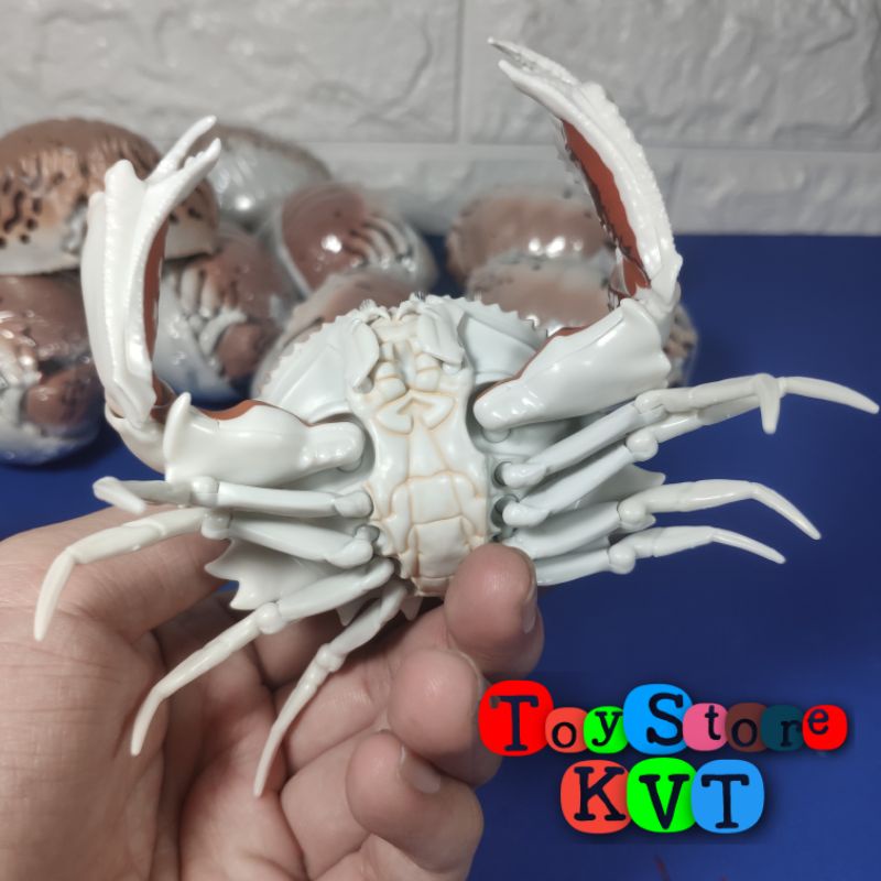 Mô Hình Gachapon Cua Hộp Sọc đỏ Red-streaked Box Crab (Dango Mushi 06 by Bandai)