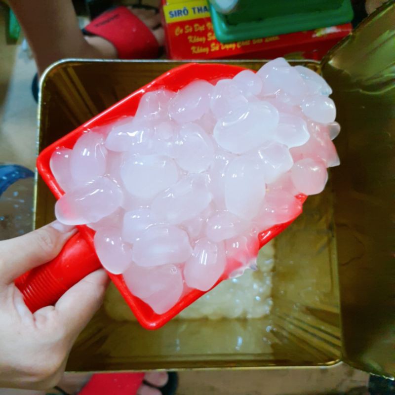 THỐT NỐT THÁI CÂN BỊCH 1KG