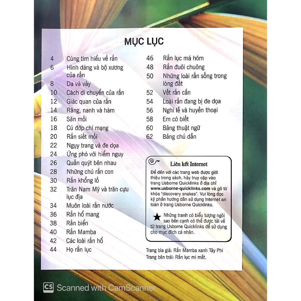 Sách - Bách Khoa Tri Thức Về Khám Phá Thế Giới Cho Trẻ Em - Các Loài Rắn