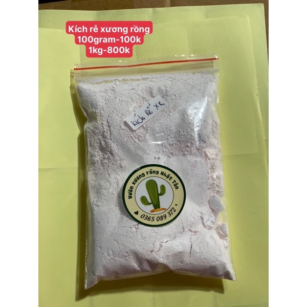 Siêu kích rễ xương rồng
