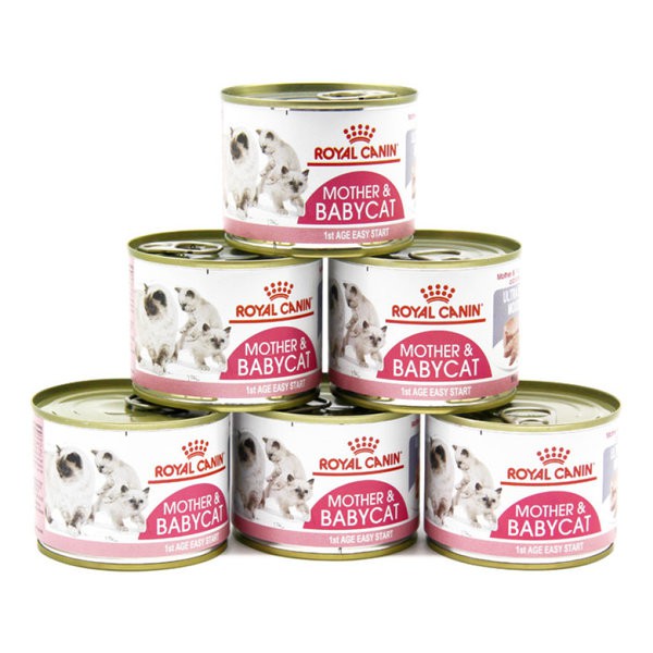 Pate cho mèo mẹ mang thai và mèo con Royal Canin Mother and Babycat 195g