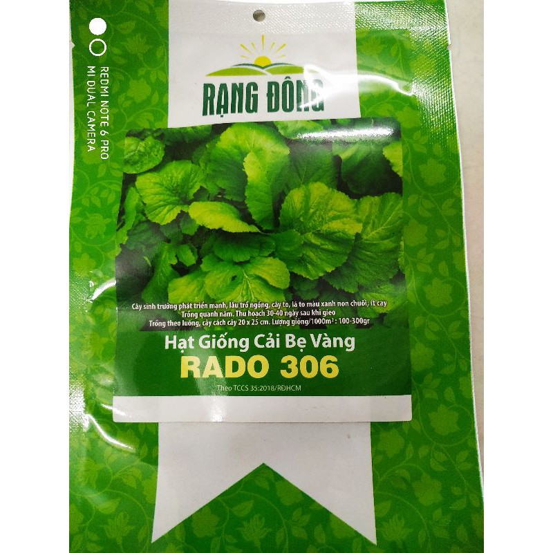 Hạt giống Cải bẹ vàng 20gr❤️FREESHIP XTRA❤️