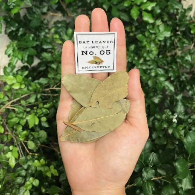 [Mã GROSALEHOT giảm 8% đơn 250K] Bay leaves - Lá thơm nguyệt quế nấu món hầm 25g 100g | BigBuy360 - bigbuy360.vn