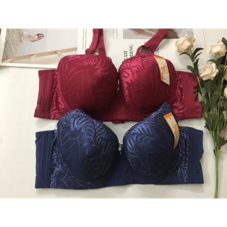 Áo ngực áo lót Bigsize Cup D quả to có gọng Chống sệ , che mỡ lưng