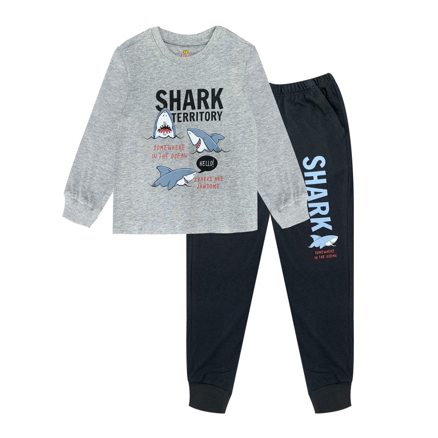 Bộ đồ dài tay Trai ARDILLA In họa tiết hoạt hình ngô nghĩnh,set quần áo trẻ em nam Chất Vải Mềm Mại Cho Bé Từ 2-9T CB001