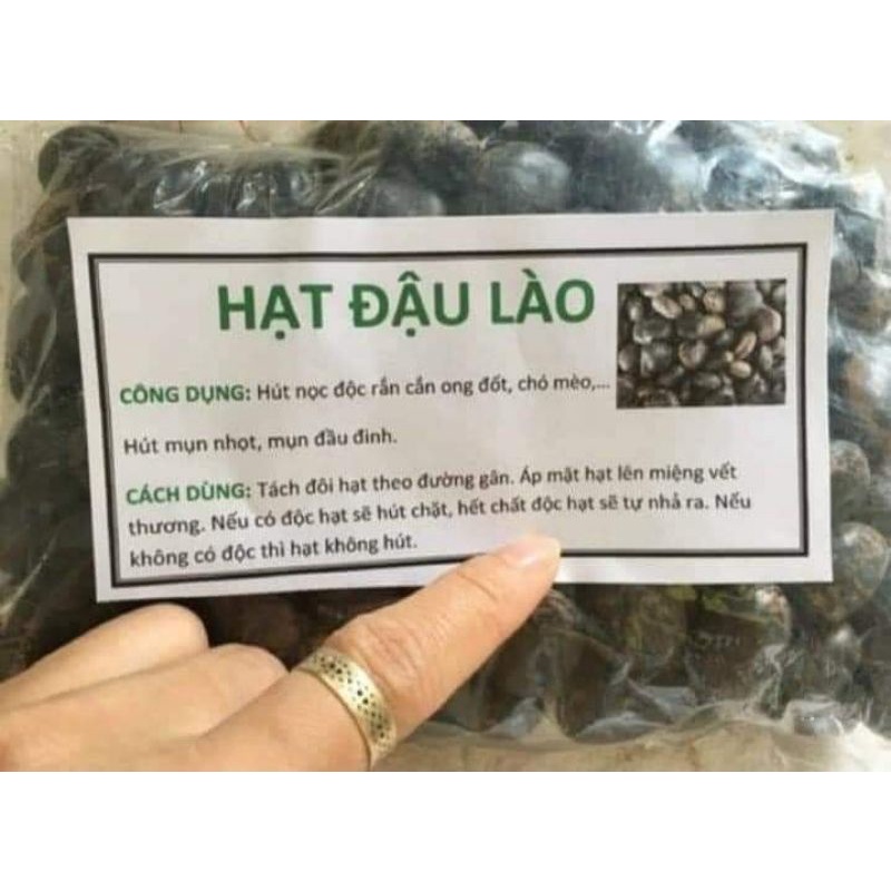 HẠT ĐẬU LÀO 10 HẠT