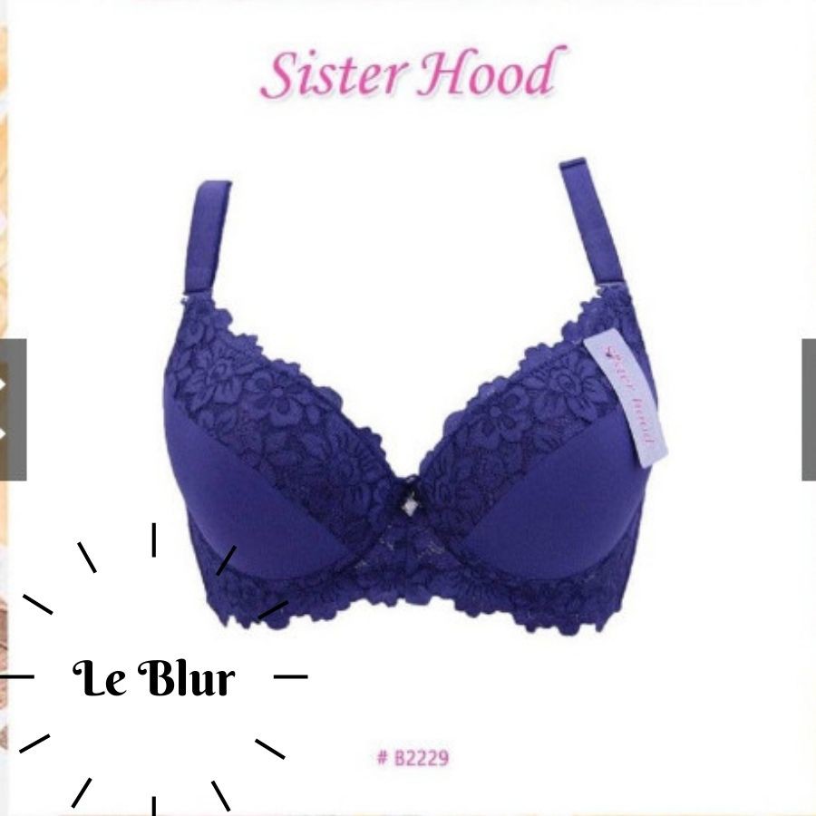 Áo ngực quả lớn có mút nhẹ, áo lót nội y ren nhấn Thái Lan Sister hood 2229, Le Blur | BigBuy360 - bigbuy360.vn