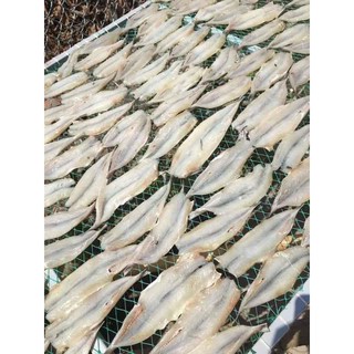 cá mối (khay 500g)
