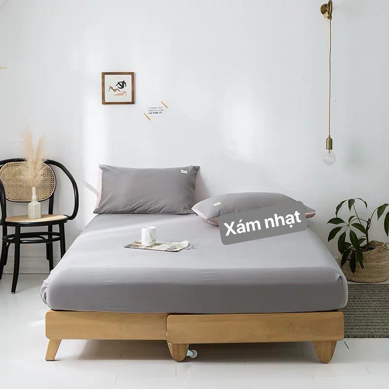 Sét Ga Gối Cotton Tici Phong Cách Hàn Quốc ( KHÔNG KÈM RUỘT )