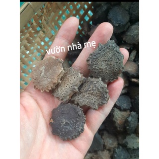 20 hạt gấc giống