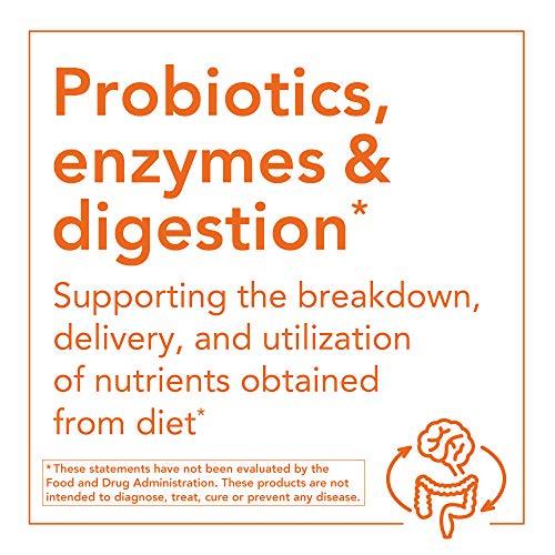 Viên Uống Now Probiotic 25 Billion Bổ Sung 10 Loại Lợi Khuẩn Hỗ Trợ Hấp Thu Chất Dinh Dưỡng (50 Viên)