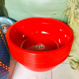 Thau Nhựa Lớn (Omo)
