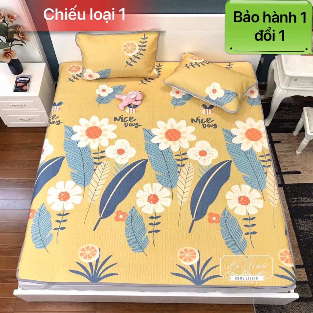 [FreeShip - CHỈ HÔM NAY] CHIẾU ĐIỀU HÒA TENCEL LATEX CAO SU NON in 3D siêu mát tặng kèm 2 vỏ gối | BigBuy360 - bigbuy360.vn