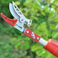 Kéo Hái Quả Kết Hợp Cưa Cành Trên Cao Dài 3M-4M-5M, Kéo Cắt Cành Cây Trên Cao,