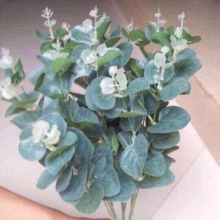 Cụm lá táo điểm hoa sáp hàng đẹp
