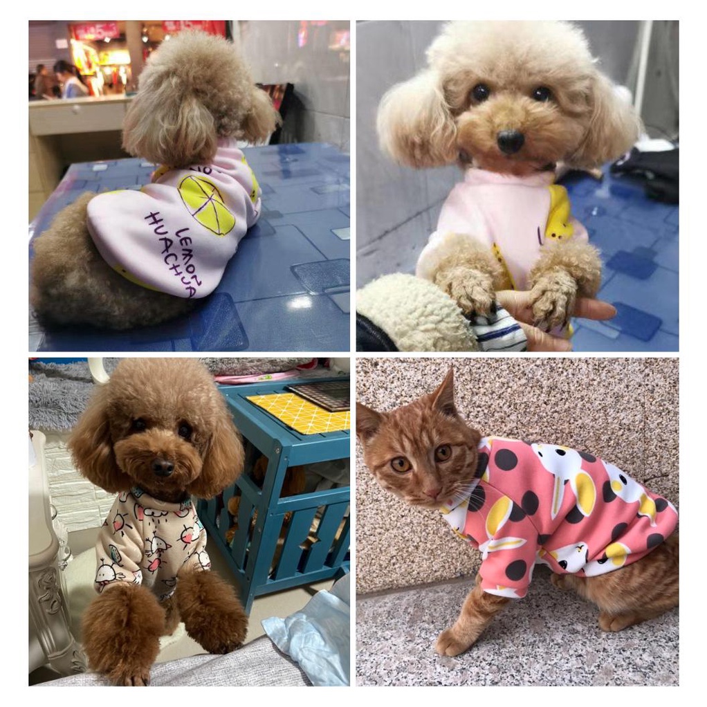 Áo Họa Tiết Hoạt Hình Dễ Thương Cho Thú Cưng