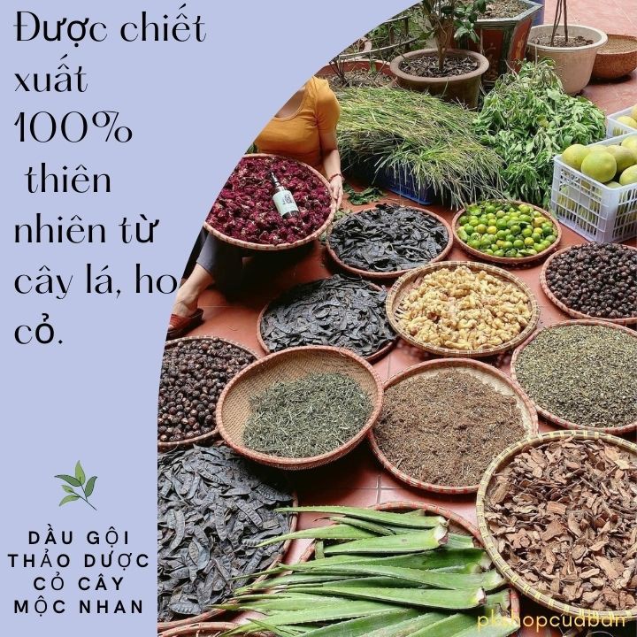 [Hiệu Quả 100%] Dầu Gội Thảo Dược Mộc Nhan T.rị Rụng Tóc - T.rị Gàu - Giúp Đen Tóc