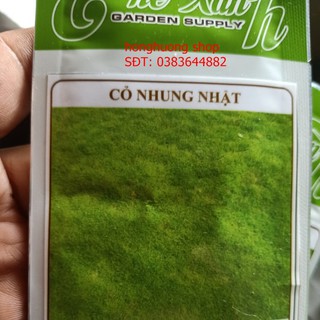 Hạt giống cỏ nhung Nhật
