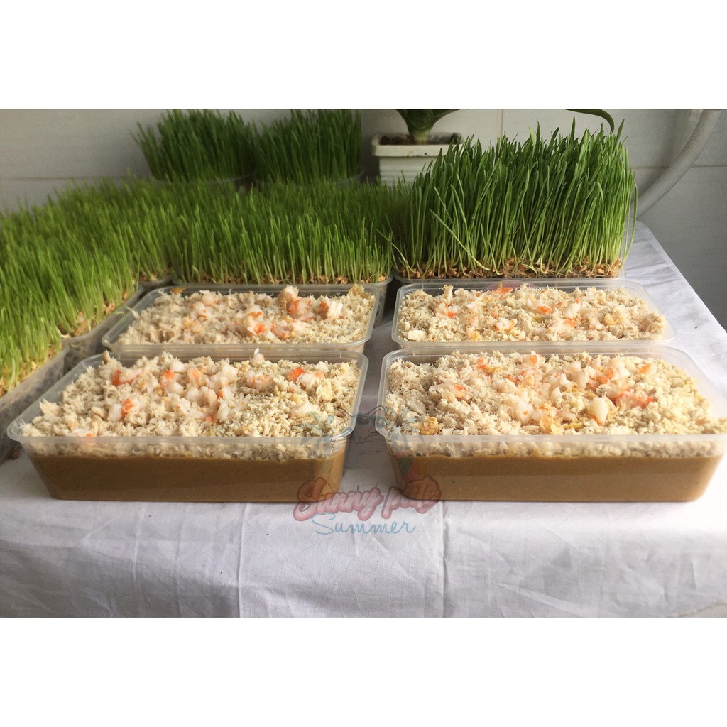 Pate tươi-kén ăn - Pate tươi Sunny - Sunnypetfood