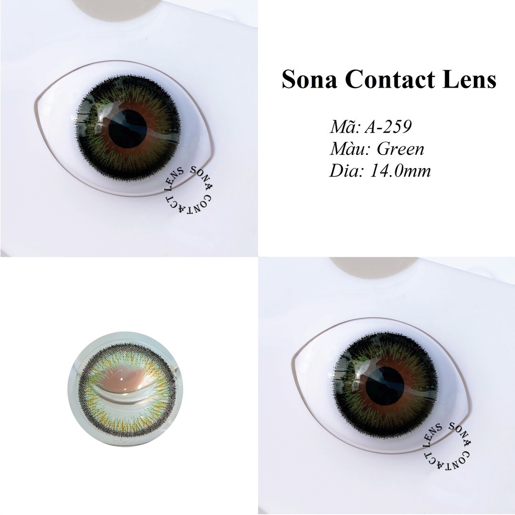 Lens Green A-259 [EXP 9/2023] (kính áp tròng Sona Hàn Quốc)