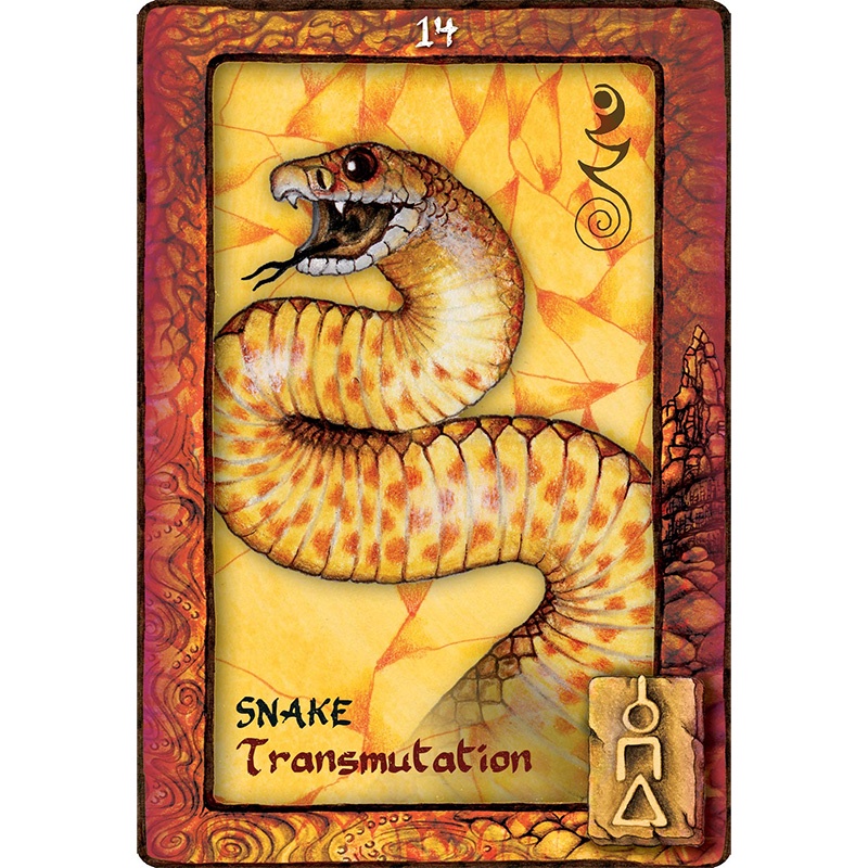 Bộ Bài Animal Dreaming Oracle (Mystic House Tarot Shop) - Bài Gốc Authentic Chính Hãng 100%