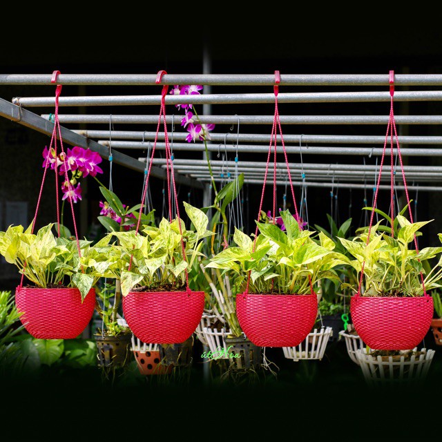 (20x13cm) Chậu nhựa treo mây trồng hoa cây cảnh loại 1 (kèm quai treo) bền chắc_Chậu nhựa đan mây nhiều màu