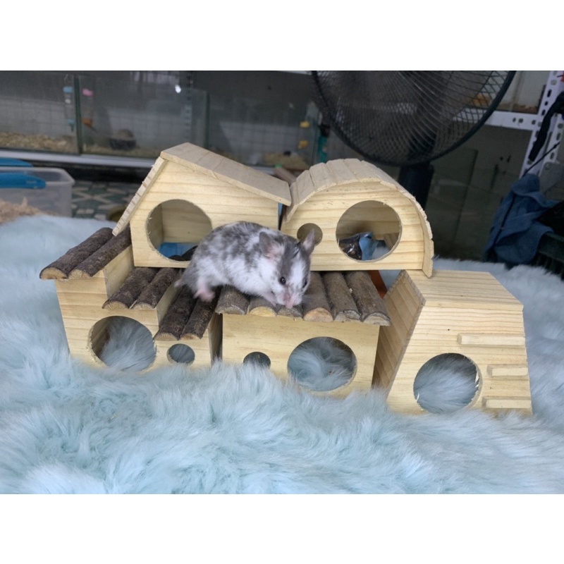 Nhà gỗ tự nhiên đáng yêu cho pet nhỏ
