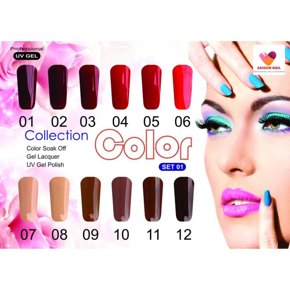 Bộ 12 chai gel (có bản lẻ ) - Collection 01