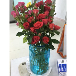Bình thủy tinh cắm hoa dáng trụ sọc dọc