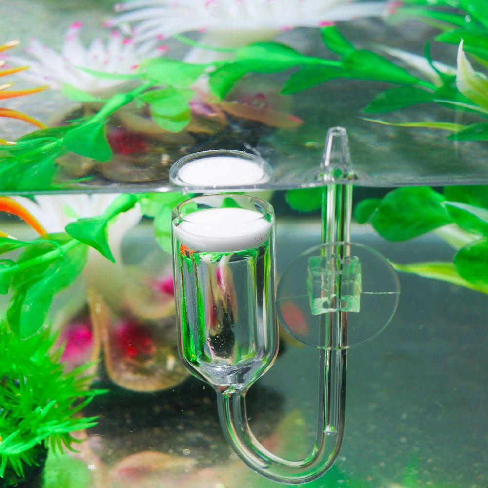 Bộ Thuỷ Tinh Carbon Dioxide Dáng Tròn Chuyên Dụng Cho Bể Cá