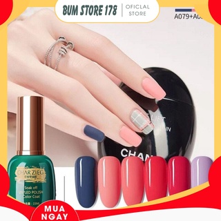 Sơn gel Charzieg bảng màu 79-84 15ml