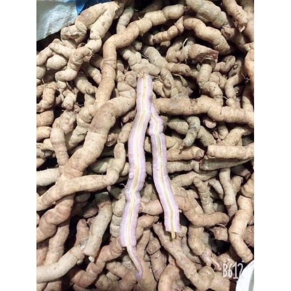 Ba kích tím tươi 1kg