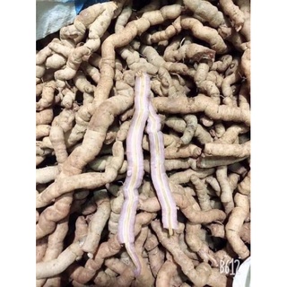 Ba kích tím tươi 1kg