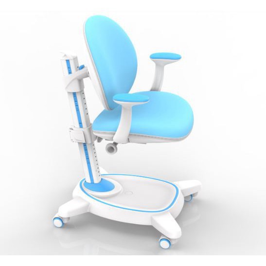 [FREESHIP]  GHẾ CHỐNG GÙ CAO CẤP ROYAL C21A mẫu mới nhất 2020_GHẾ CHỐNG GÙ K2 | BigBuy360 - bigbuy360.vn