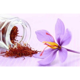 Nhuỵ Hoa Nghệ Tây Saffron Bahraman Negin