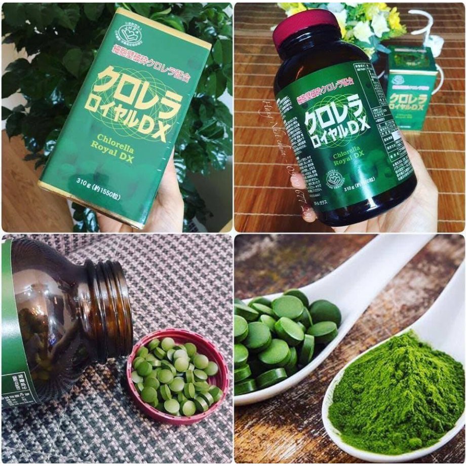 Tảo Xoắn Chlorella Royal Dx Nhật Bản Tảo Lục Hoang Gia 1550 Vien Shopee Việt Nam