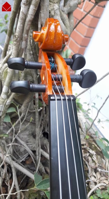 MUA ĐÀN VIOLIN SEZI 4/4 GỖ THÔNG TRUNG CẤP