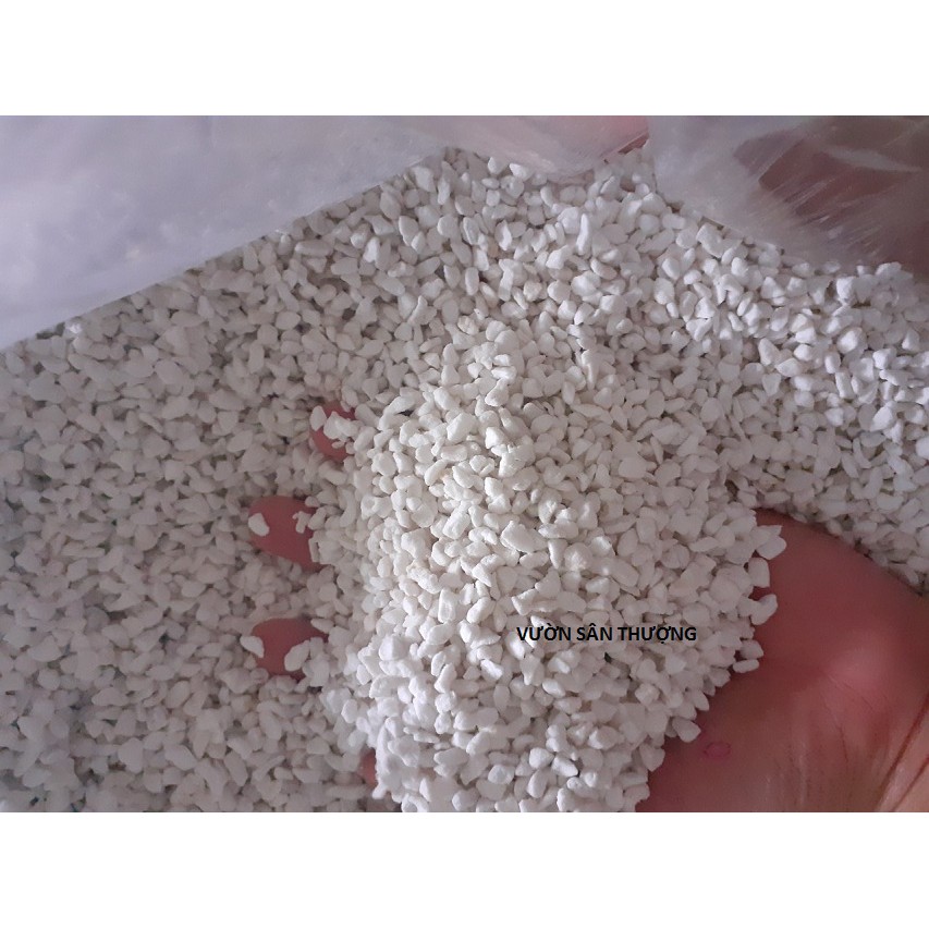 Đá Perlite- Trân Châu Giá Thể Cao Cấp Trồng Hồng, Dâu Tây, Sen Đá, Xương Rồng 500g- tặng 500g Phân Trùn Quế Tươi