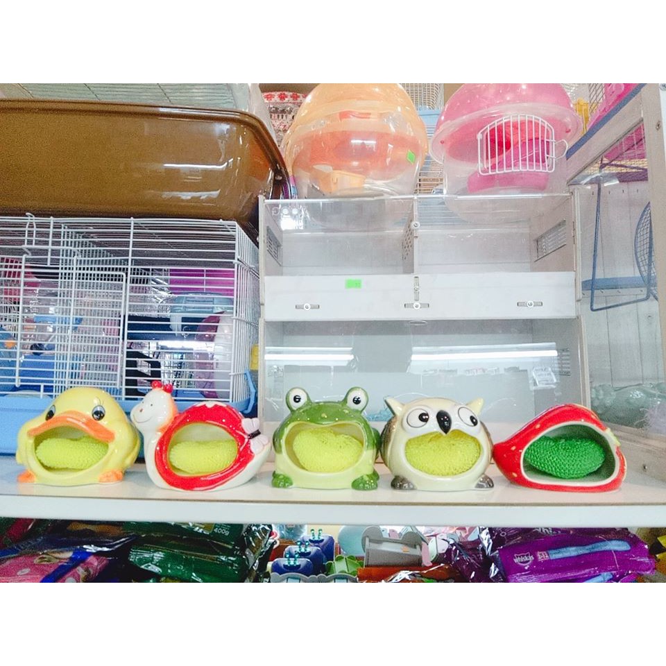 Nhà sứ đầu to (ong-ốc sên-ếch-cú-vịt) dành cho hamster