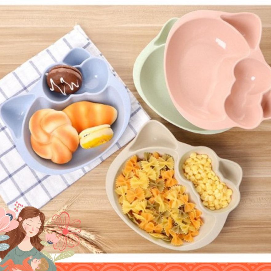 Khay lúa mạch mèo kitty cakeshop hcm